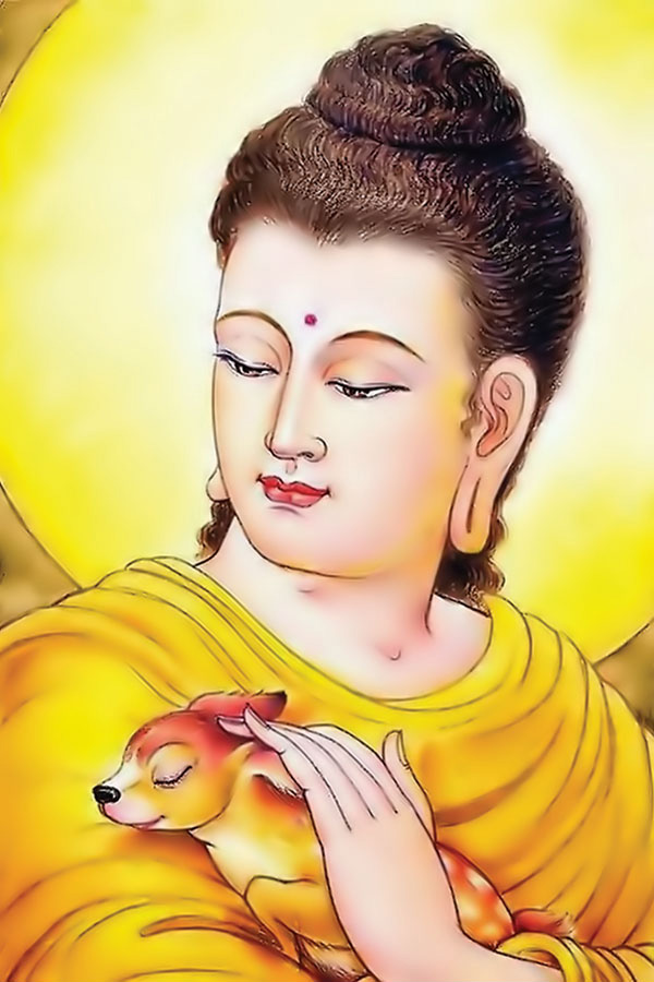 Tuyển tập ảnh Phật Thích Ca Mâu Ni 14