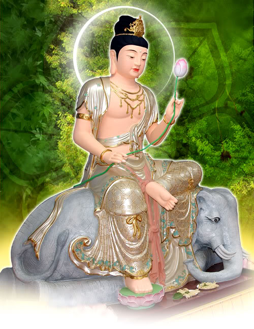 Phật Phổ Hiền Bồ Tát hợp tuổi nào trong 12 con giáp