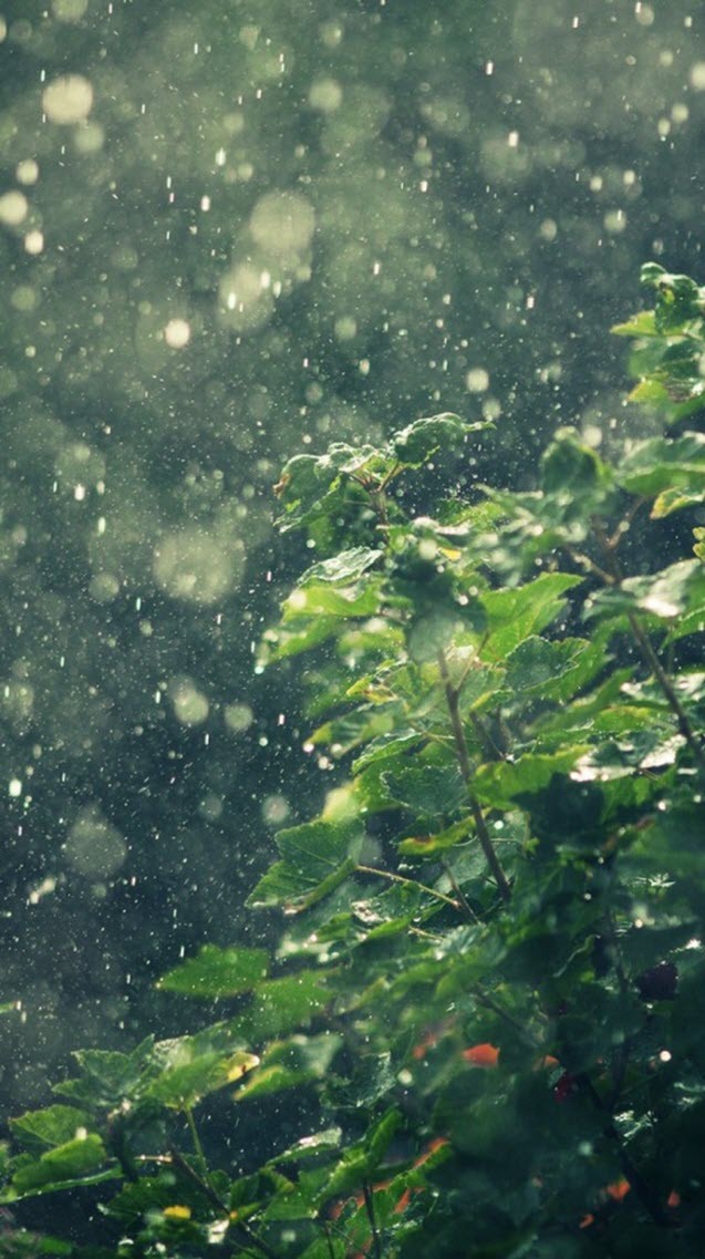Một số hình nền điện thoại đẹp lung linh 19