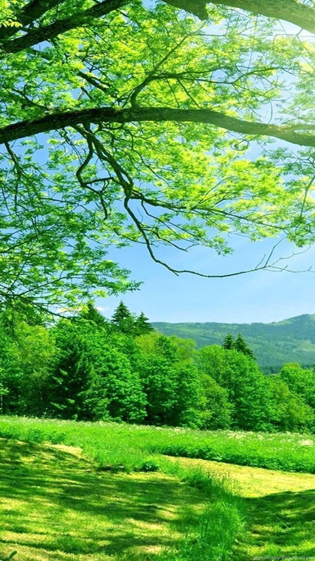 Một số hình nền điện thoại đẹp lung linh 27