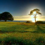 Bộ hình nền Wallpaper cực đẹp dành cho máy tính