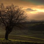 Nature Wallpaper - Hình nền thiên nhiên đẹp nhất
