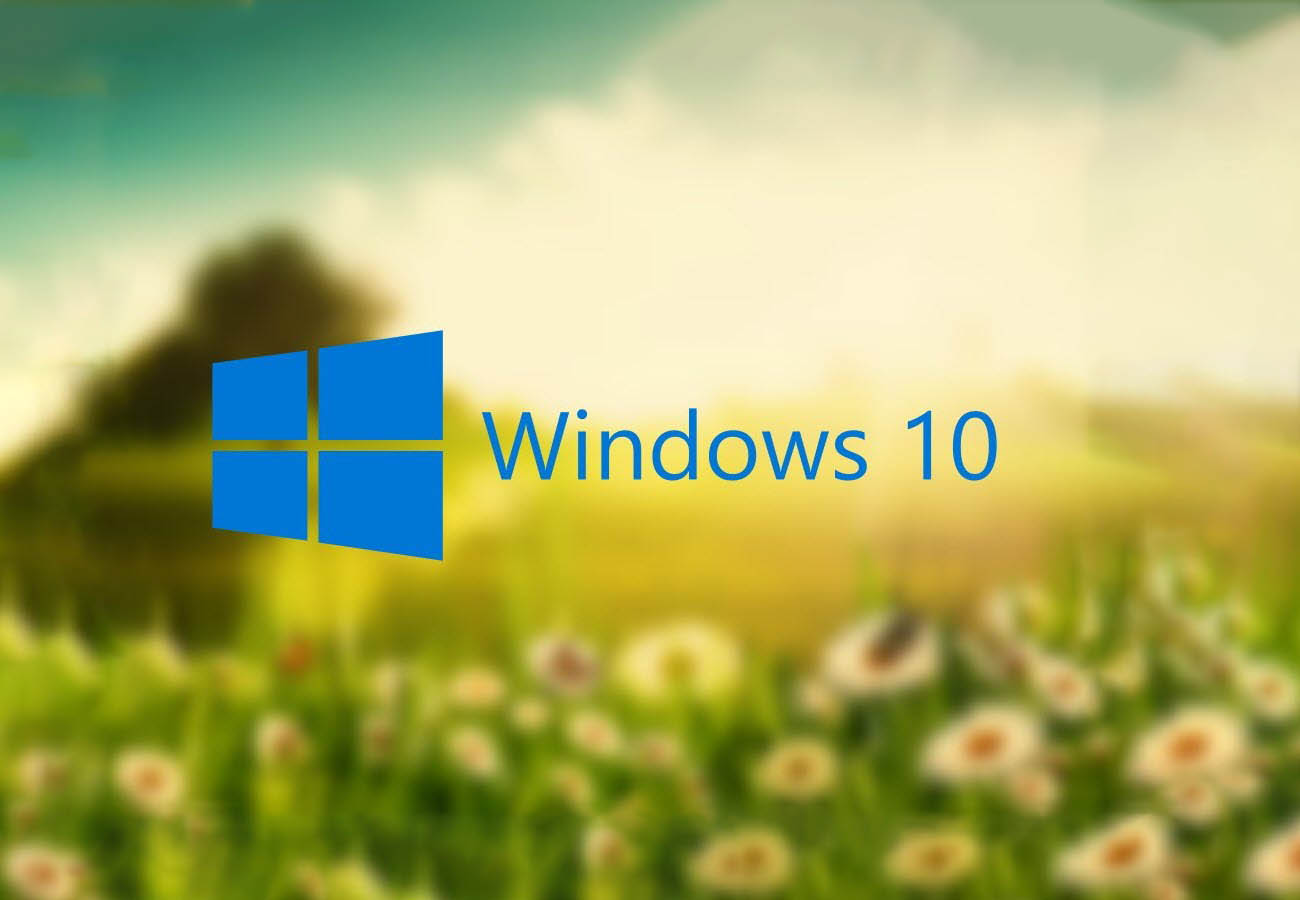 Windows dynamic. Виндовс 1803. Заставка Windows 11. Windows 10 1803.