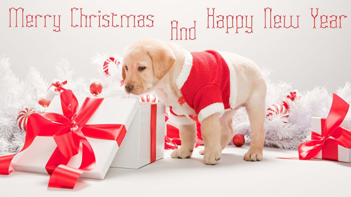 Hình giáng sinh - Christmas Wallpaper 22
