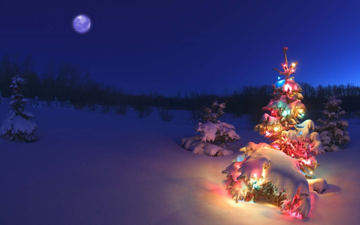 Hình giáng sinh - Christmas Wallpaper 27