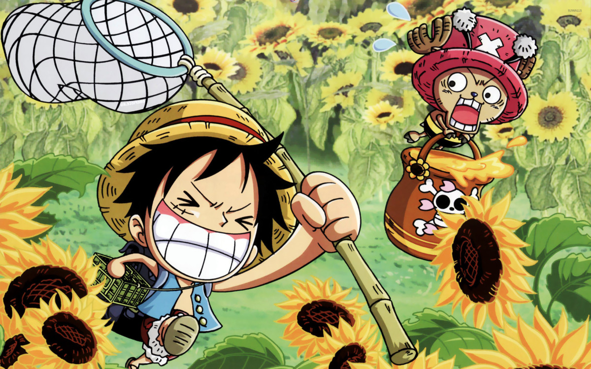 Tổng hợp hình nền One Piece đẹp nhất - One Piece Wallpaper