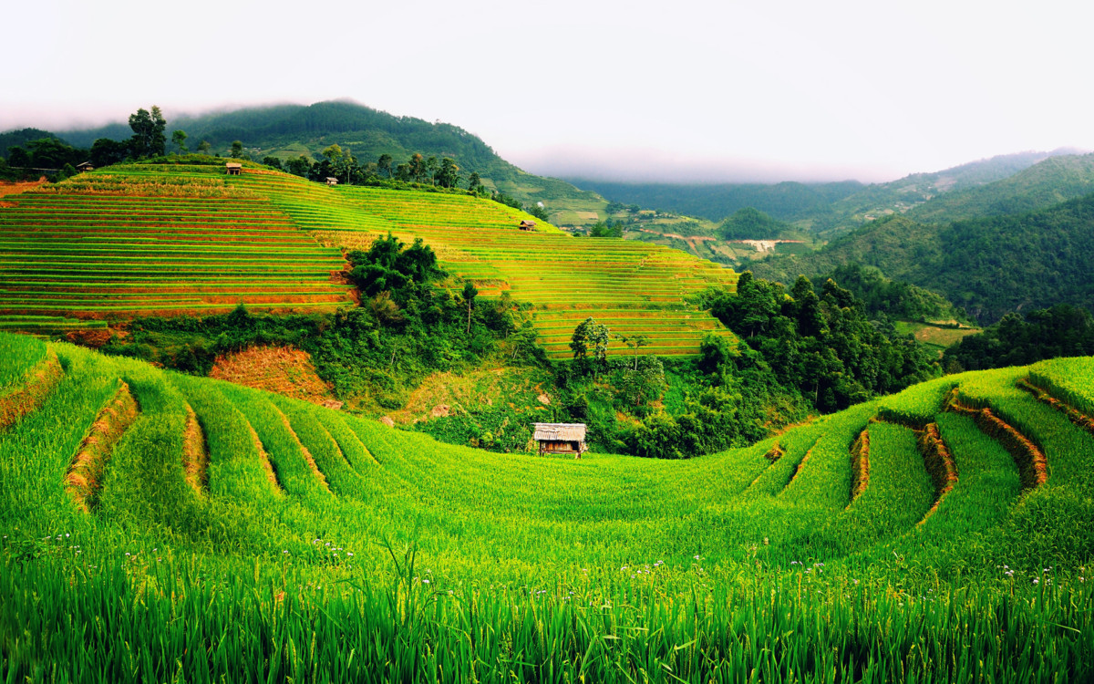 Tổng hợp hình ảnh đẹp nhất P2 8