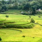 Tổng hợp hình nền máy tính đẹp nhất P2