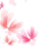 Tổng hợp hơn 50 hình nền trắng cực đẹp