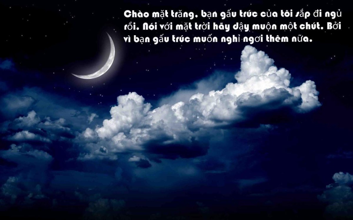 Tổng hợp những hình ảnh chúc ngủ ngon đẹp nhất