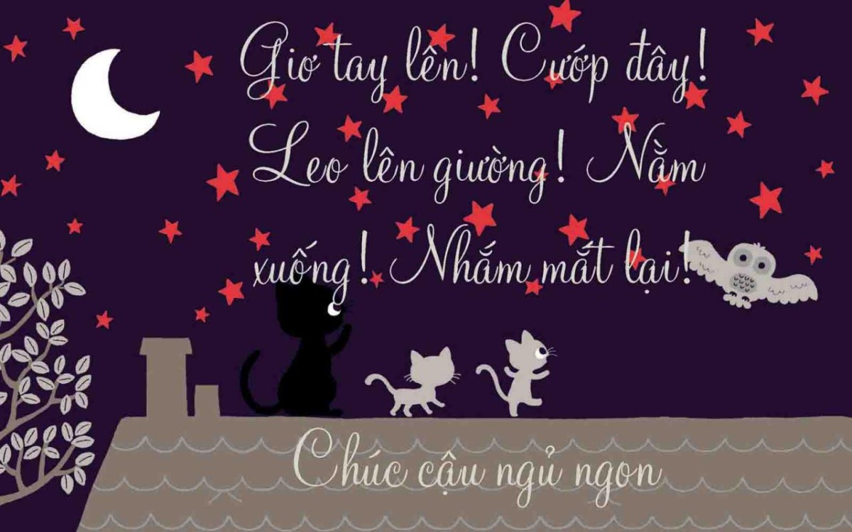 Tổng hợp những hình ảnh chúc ngủ ngon đẹp nhất