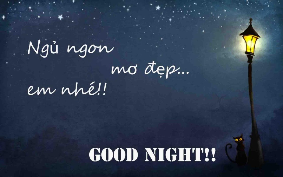 Tổng hợp những hình ảnh chúc ngủ ngon đẹp nhất