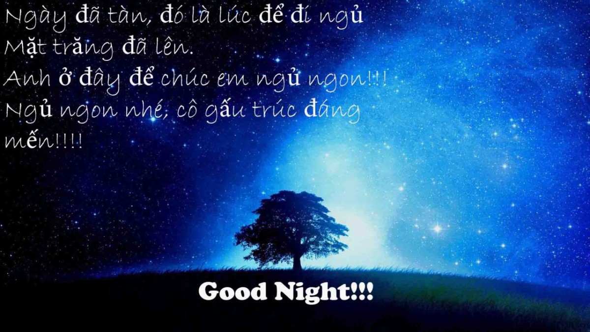 Tổng hợp những hình ảnh chúc ngủ ngon đẹp nhất