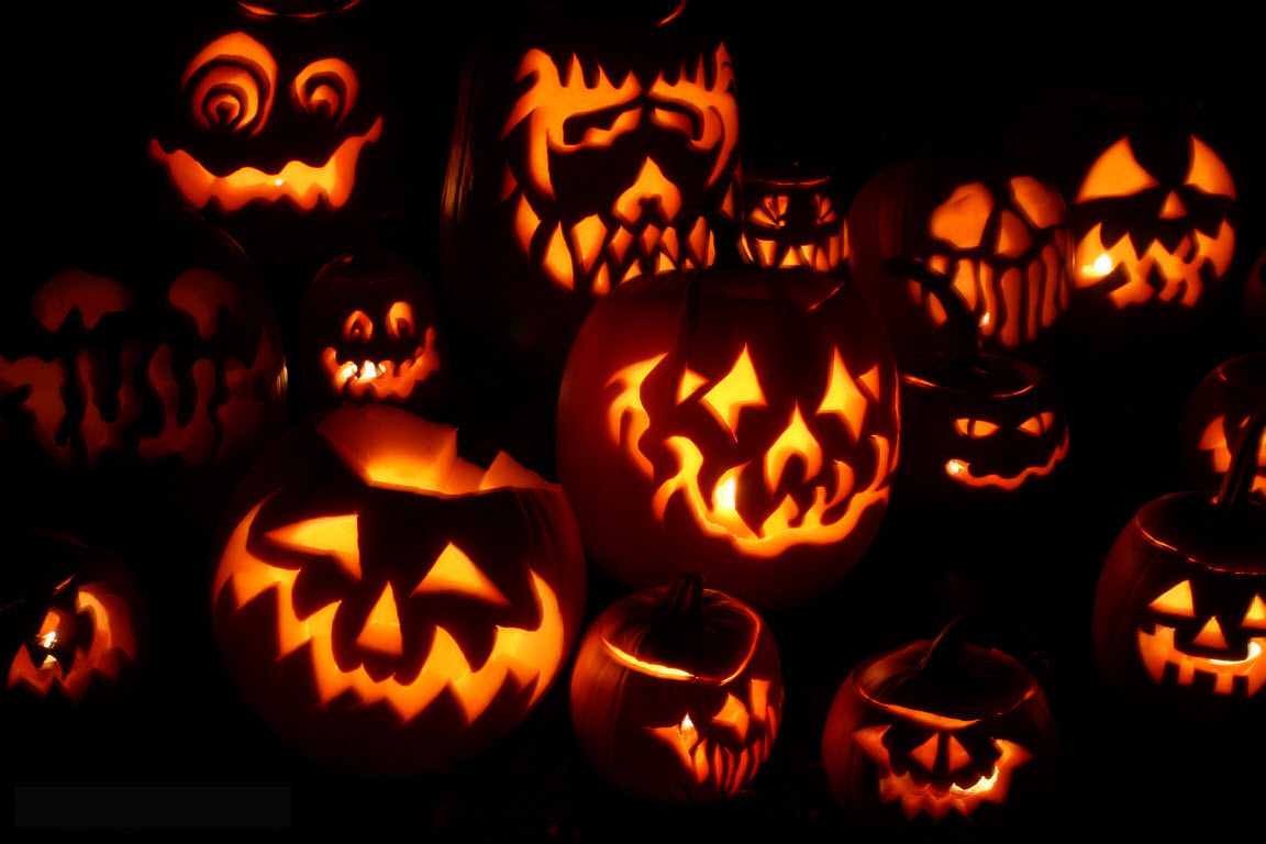 Hình ảnh Halloween Dơi Bí Ngô Ma Quái PNG  đáng Yêu Hoạt Hình Kinh Khủng  PNG miễn phí tải tập tin PSDComment và Vector