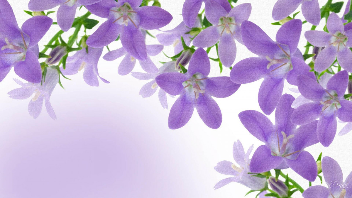 Tổng hợp hình ảnh mùa xuân đẹp nhất - phần 1 28