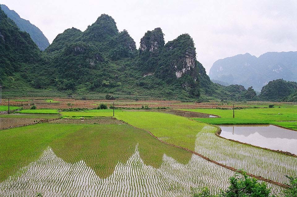 Tổng hợp ảnh phong cảnh đẹp nhất 27