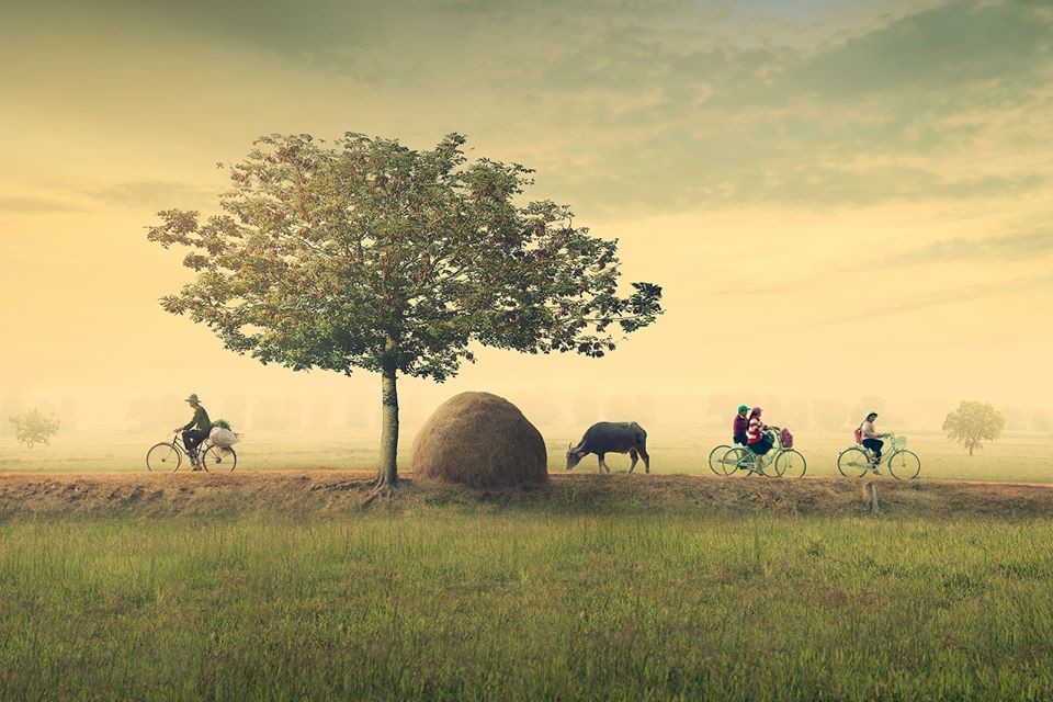 Những hình ảnh làng quê Việt Nam đẹp yên ả thanh bình