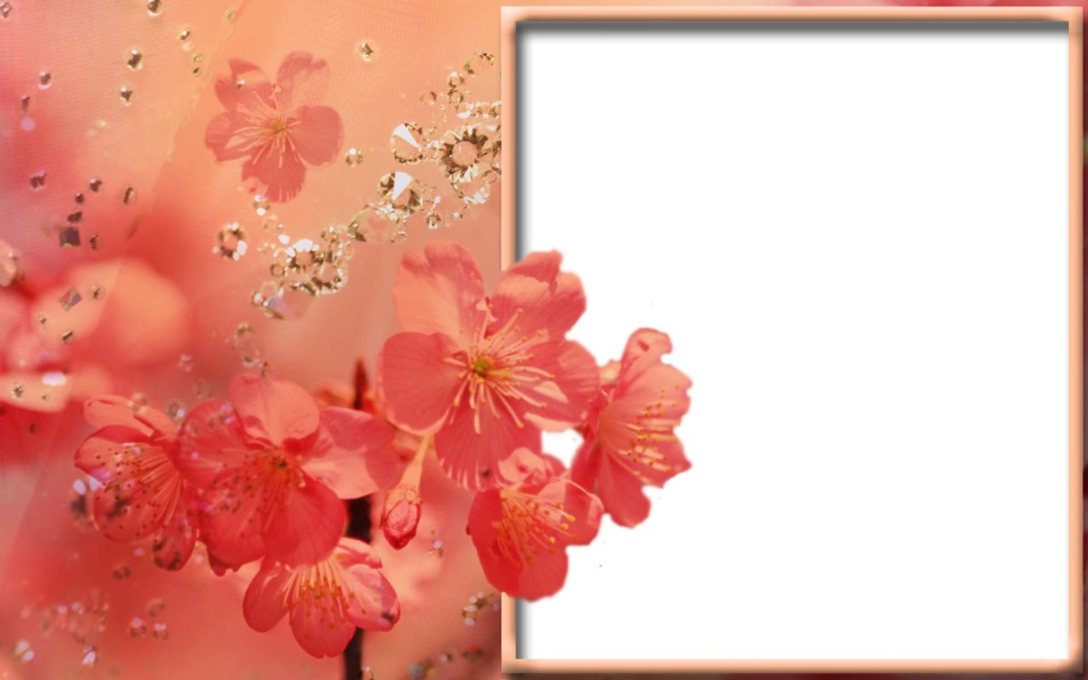 Tổng hợp khung hình đẹp nhất 27