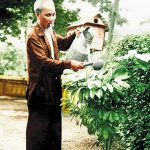 Bộ sưu tập ảnh bác hồ đẹp nhất