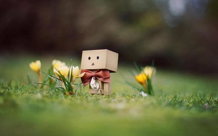 ảnh đại diện đẹp