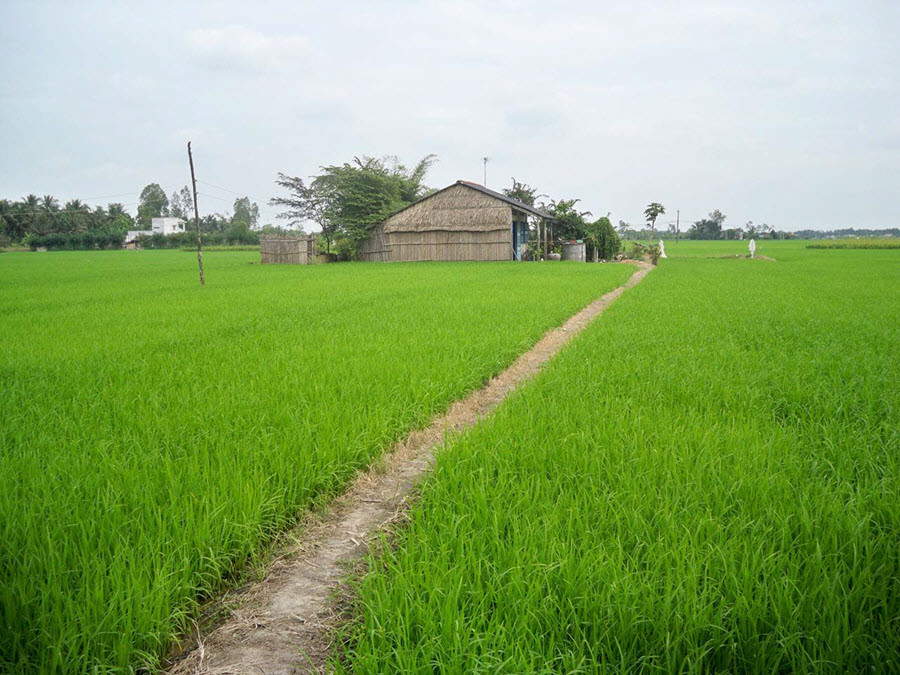 hình ảnh Việt Nam về thiên nhiên và con người 16