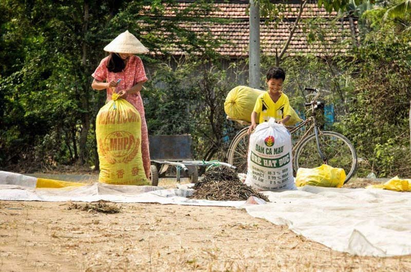 hình ảnh Việt Nam về thiên nhiên và con người 27