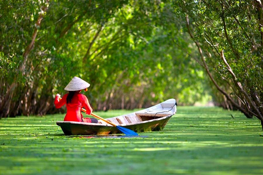 hình ảnh Việt Nam về thiên nhiên và con người 30