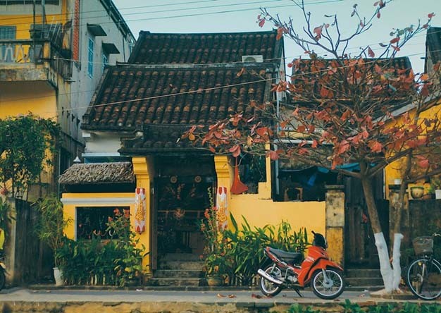 hình ảnh Việt Nam về thiên nhiên và con người 32