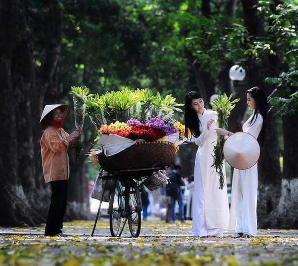 hình ảnh Việt Nam về thiên nhiên và con người 48