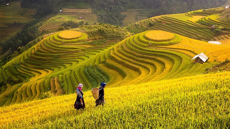 hình ảnh Việt Nam về thiên nhiên và con người 53