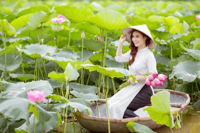 hình ảnh Việt Nam về thiên nhiên và con người 7