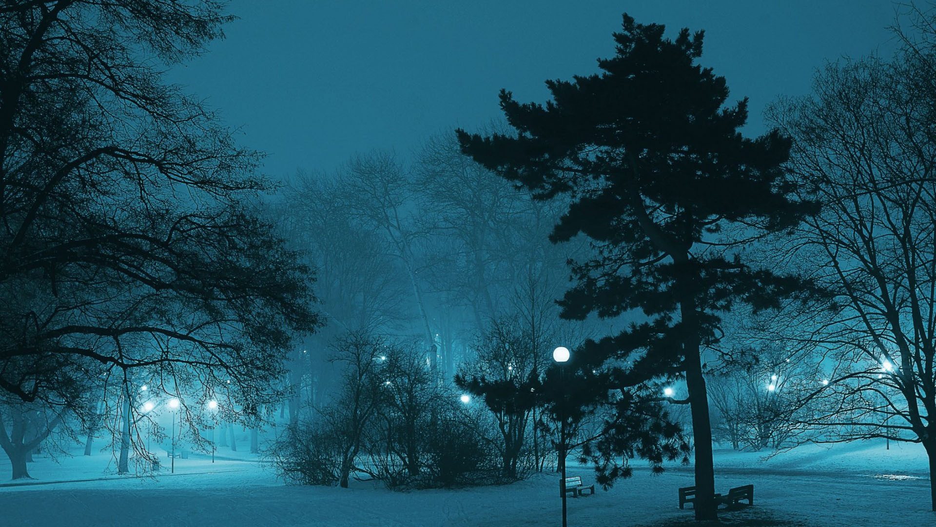 hình ảnh buổi tối mùa đông
