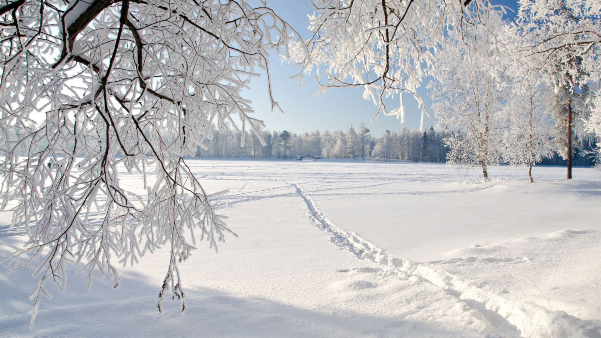 Download Winter Wonderlands 10  Hình nền bão tuyết mùa động cho máy