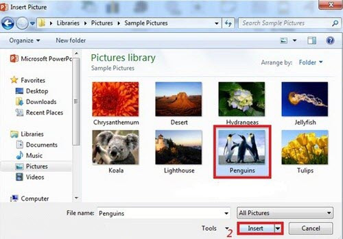 chen-hinh-anh-trong-powerpoint-8