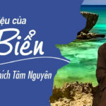 Điều kì diệu của biển - Đại Đức Thích Tâm Nguyên 7