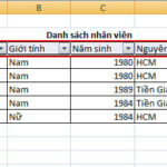 Cách tạo bộ lọc / filter trong excel