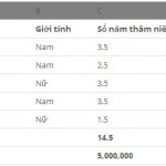 Cách sử dụng hàm SUMIFS trong excel