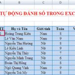 Cách thiết lập tự động đánh số thứ tự trên excel 02
