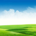 Background mây xanh va đồng cỏ