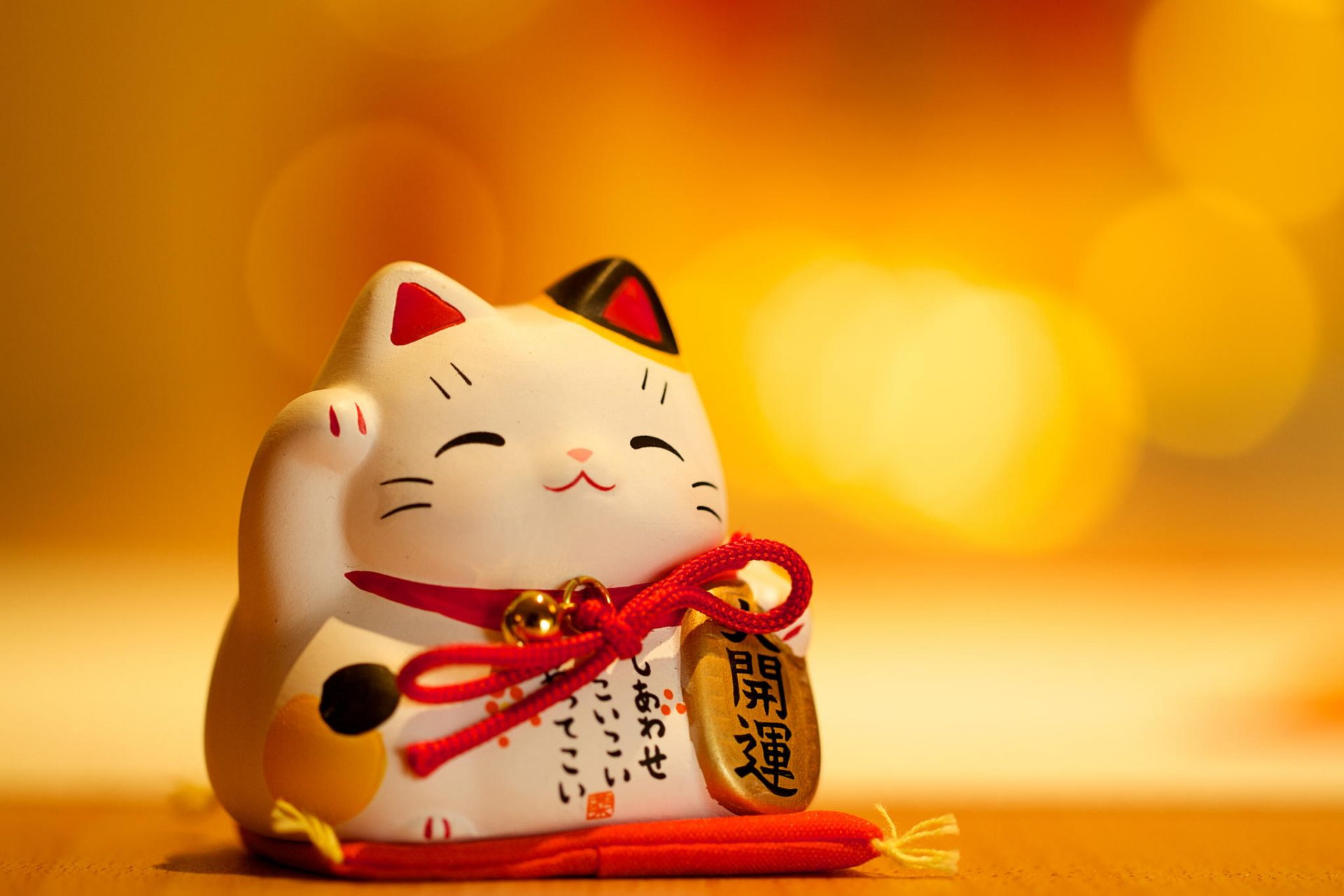 ảnh nền chú mèo thần tài xinh xắn