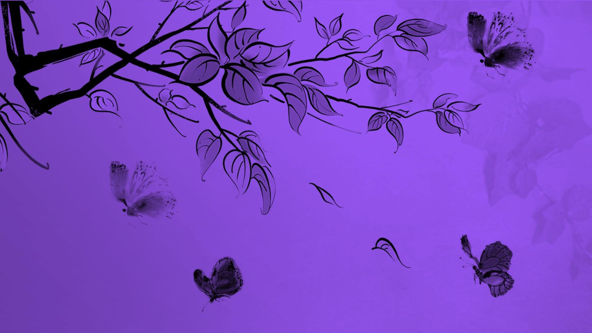 Hình nền  cây Nền xanh nhiếp ảnh Gần màu xanh da trời Hoa màu tím  thực vật Hệ thực vật Cánh hoa Hoa dại Hình nền máy tính Nhà máy đất