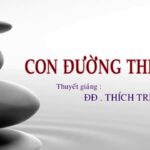 Con đường thiền - Đại Đức Thích Trí Huệ 20