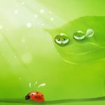 hình nền màu xanh dễ thương cho máy tính
