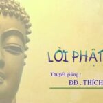 Lời Phật Dạy - Đại Đức Thích Trí Huệ 14