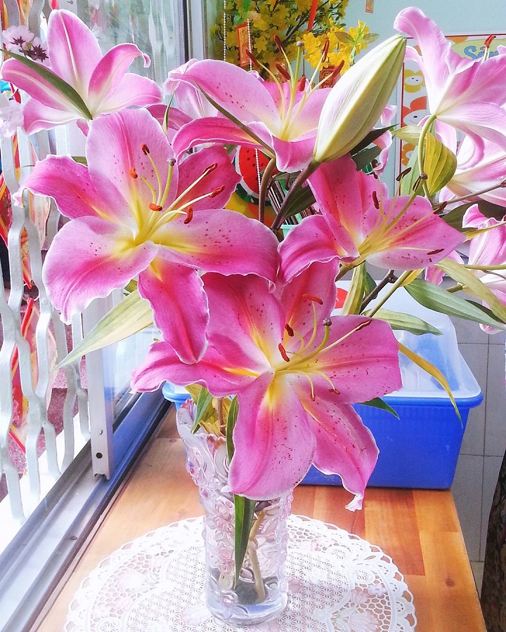 ảnh cắm hoa ly đẹp nhất