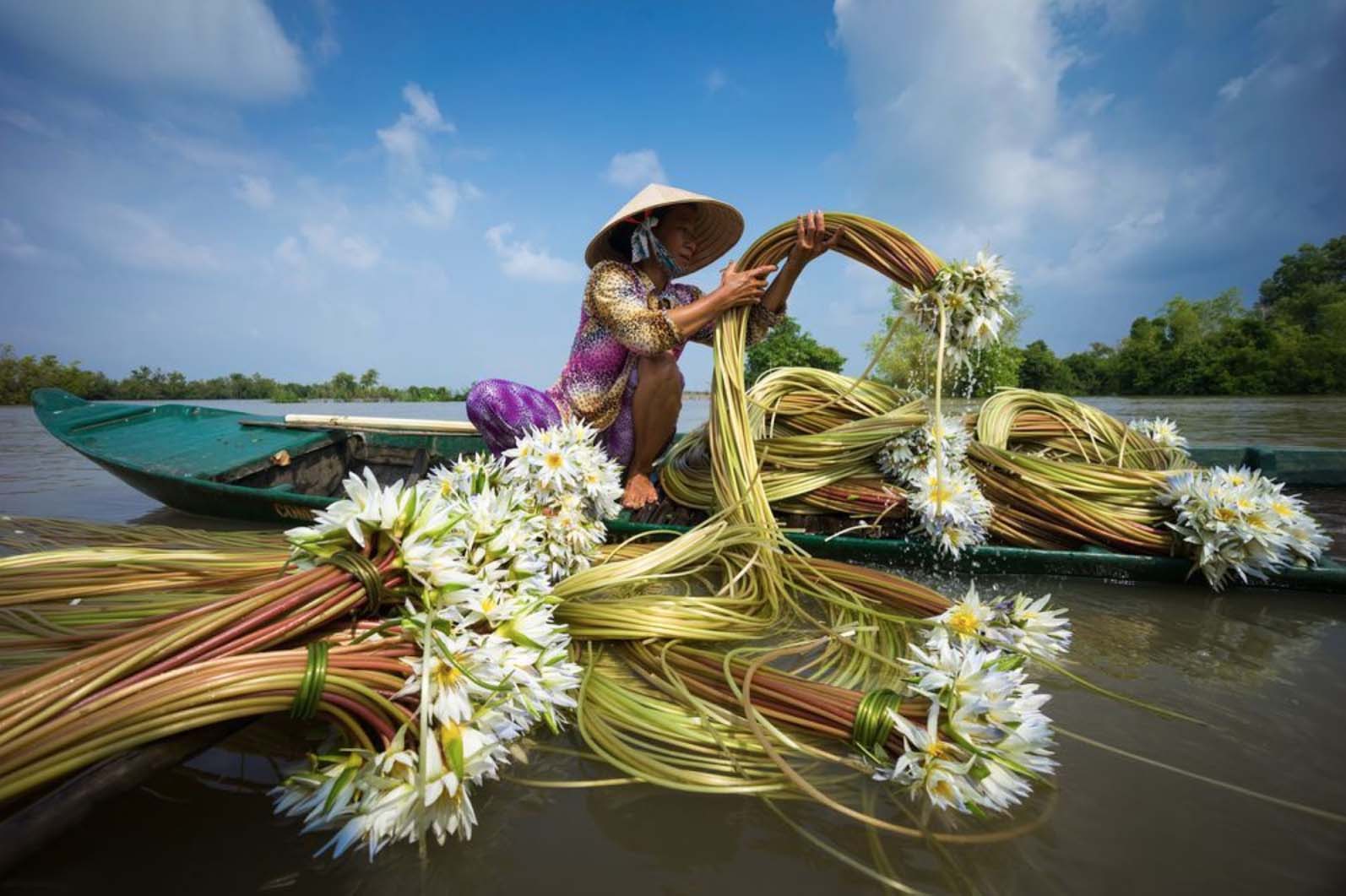 ảnh đẹp con người việt nam