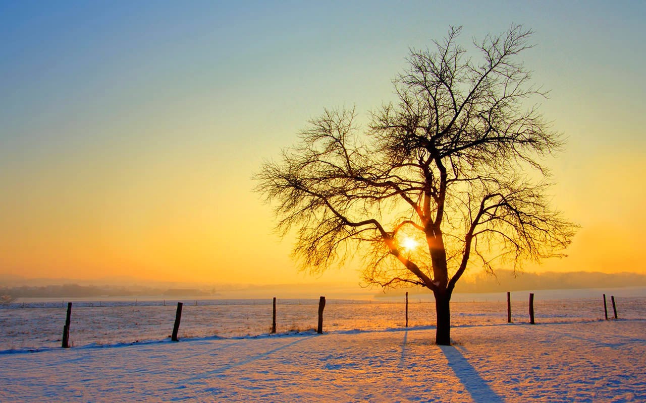 Chia sẻ hơn 55 về hình nền mùa đông cho điện thoại hay nhất   cdgdbentreeduvn