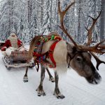 ảnh ông già noel cưởi tuần lộc