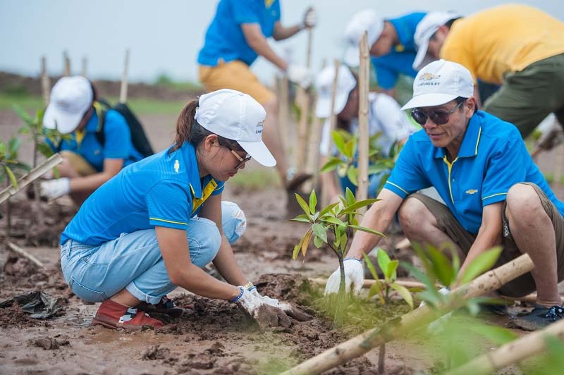 ảnh trồng cây bảo vệ môi trường sống