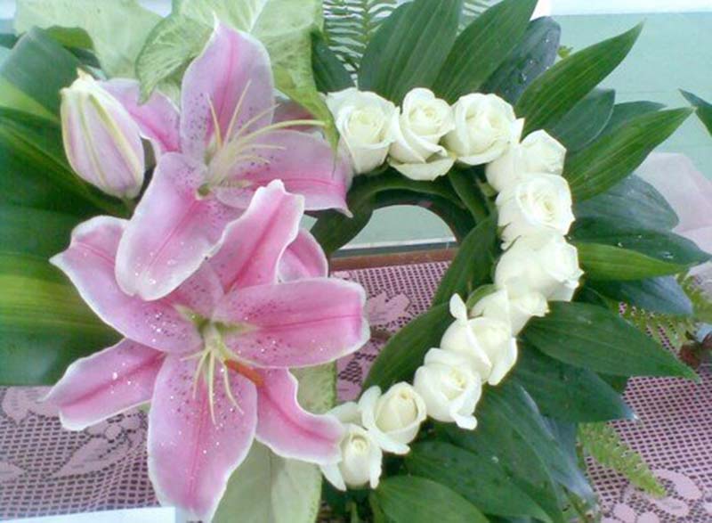 ảnh vòng hoa ly đẹp nhất